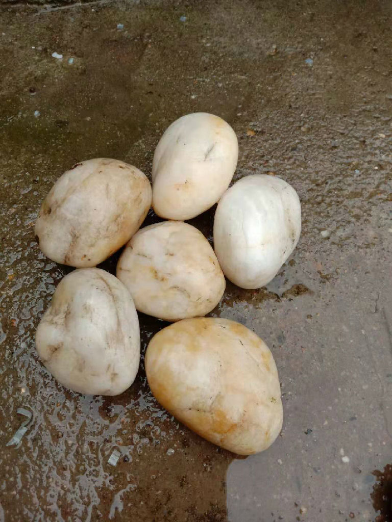 【廣信】高亮雨花石價格